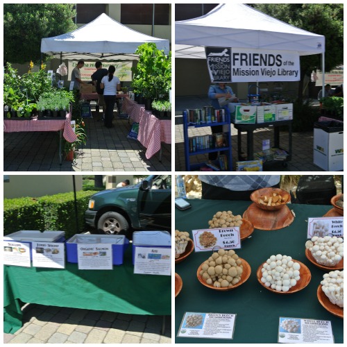 OCGreenMama_MVFMCollage2