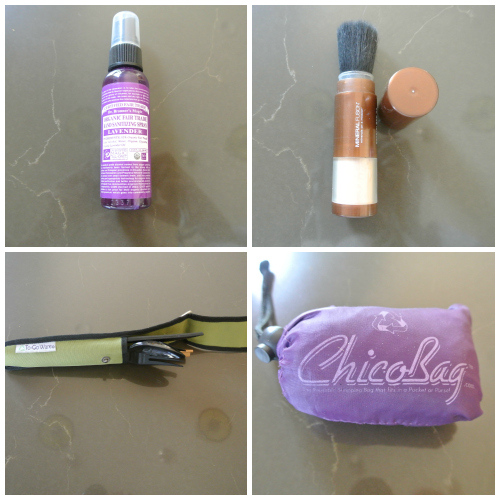 OCGreenMama_PurseCollage